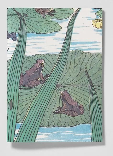 CARNET DE NOTES GRENOUILLES IRIS NENUPHARS