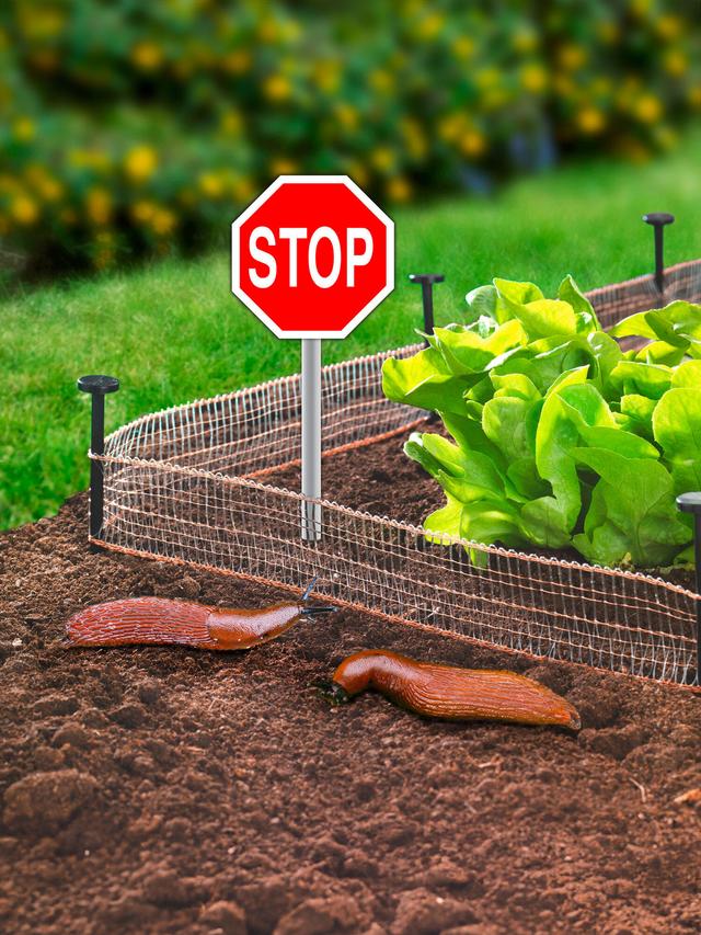Schnecken-Stopp 8 Meter, 2er Set