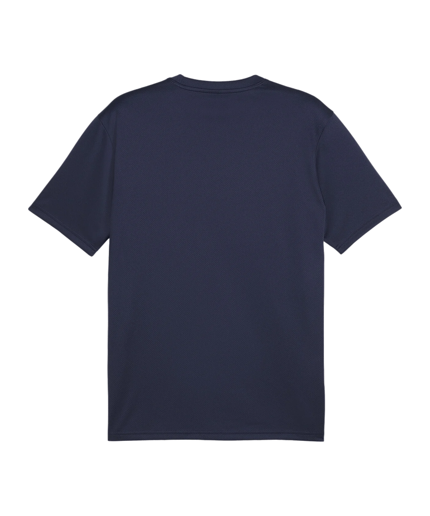 PUMA teamGOAL Trikot Blau F06