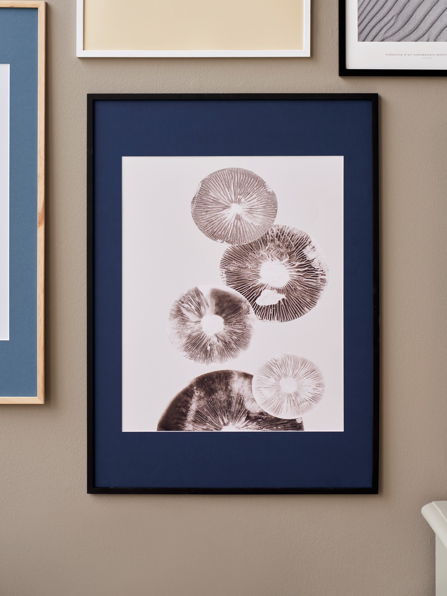 Passepartout Blue - 50 x 70/40 x 50 | Navy | Poster and Frame
