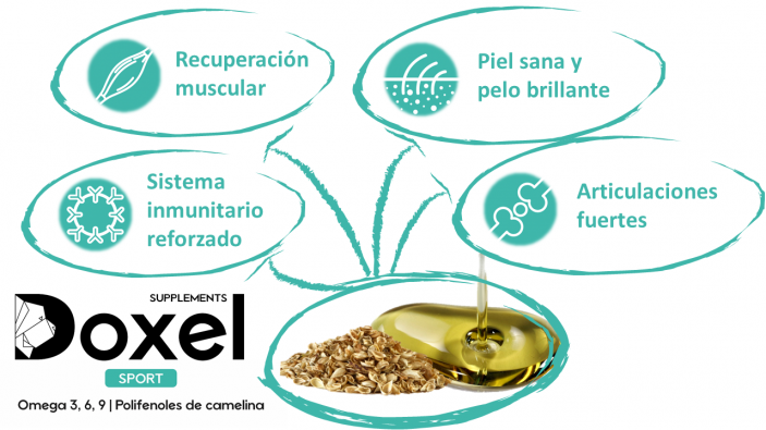 Óleo Ômega 3, 6, 9 Doxel Flex e Articulações Antioxidantes Recuperação Muscular Sabor Natural