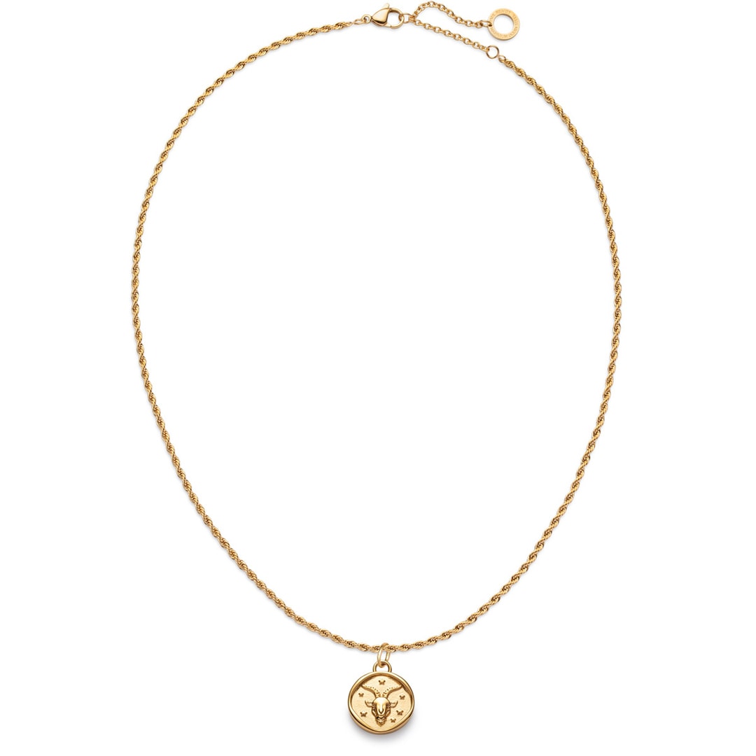 Paul Hewitt Capricorn Charm Goldig