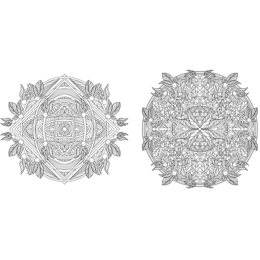 Uitgeverij rebo kleurboek bloemen mandala's