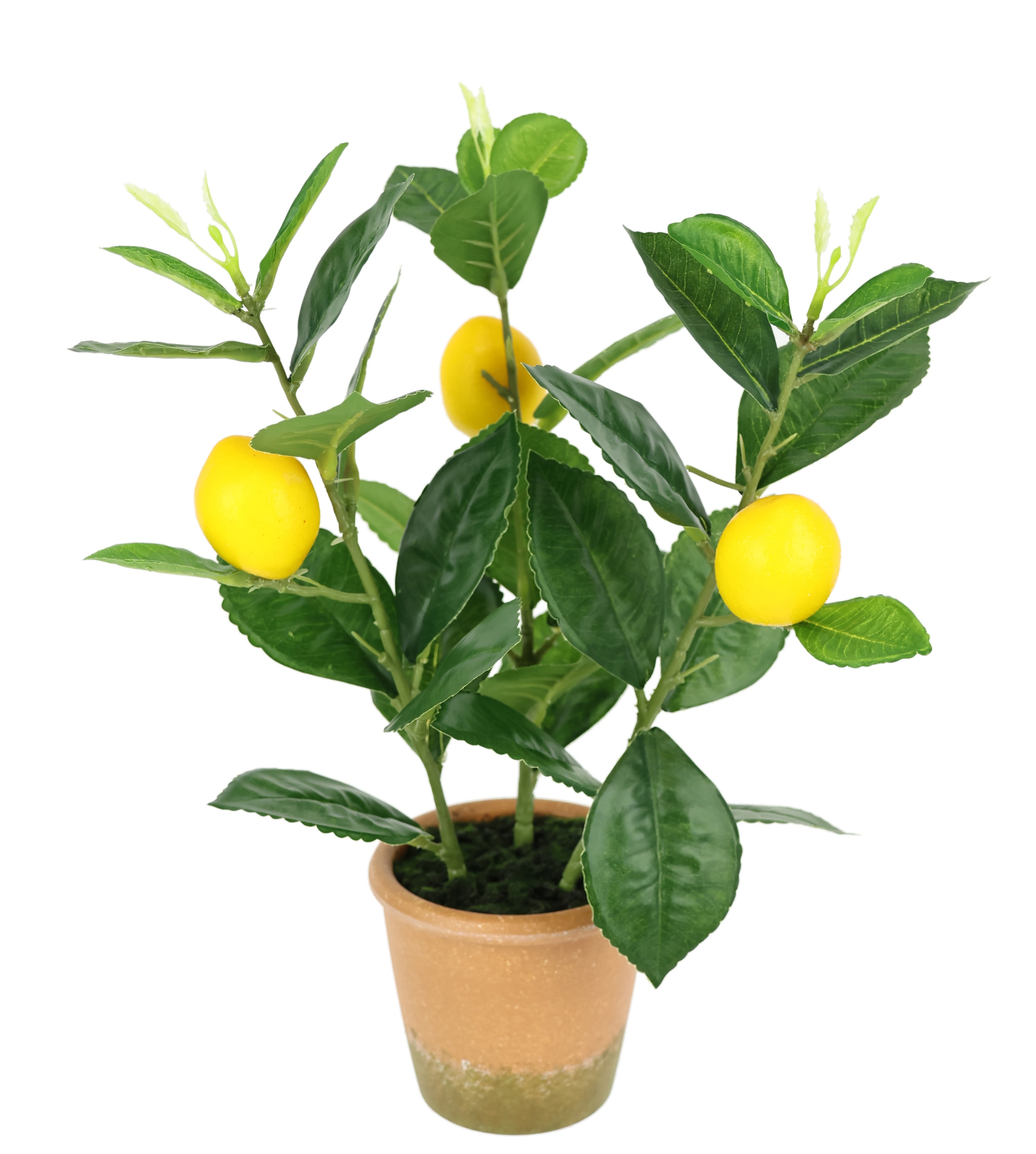 I.GE.A. Kunstpflanze »Künstlicher Mini-Zitronenbaum« Lebensechter Kunstbaum Baum Dekoration Obstbaum Pflanze