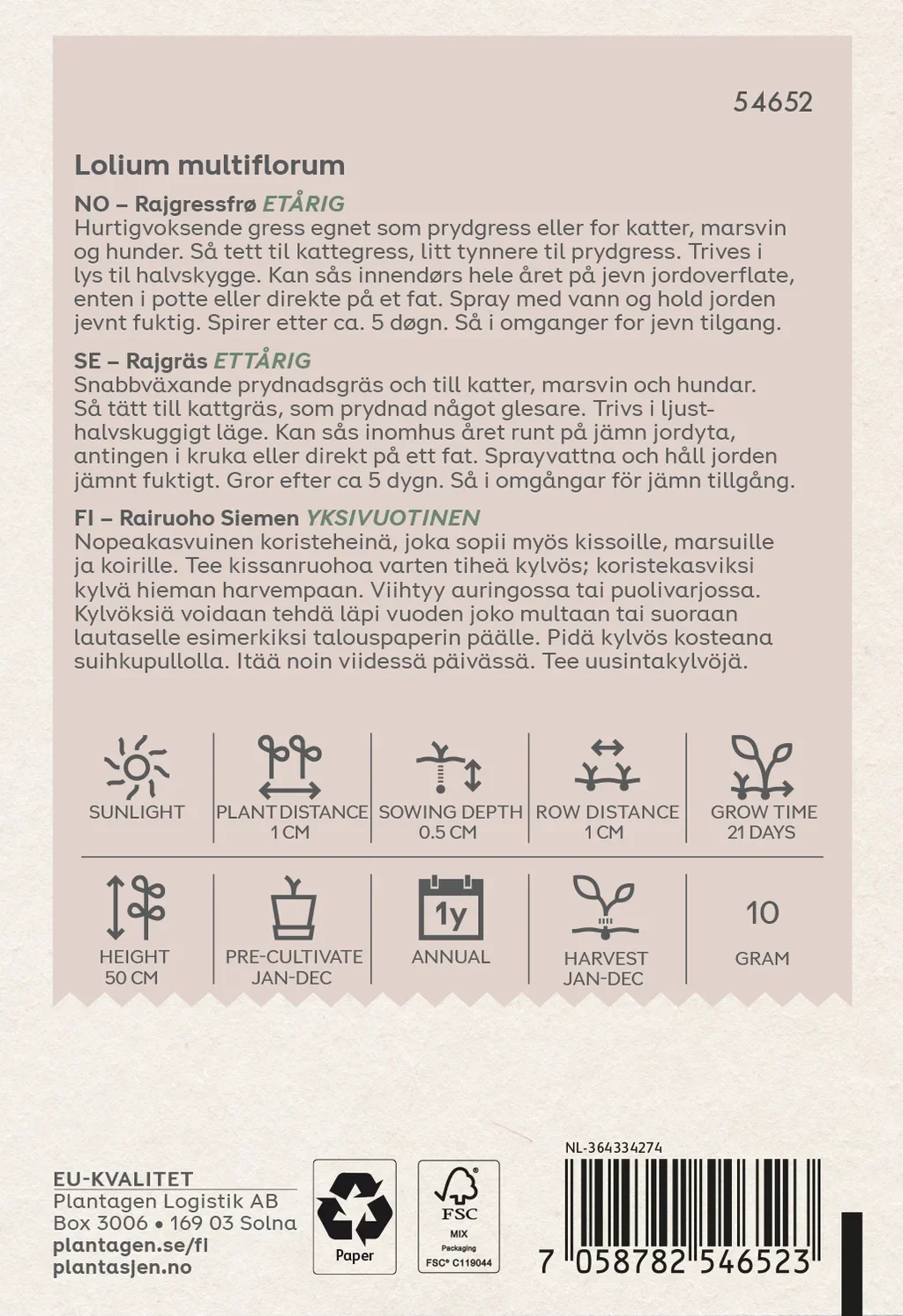 Lolium multiflorum Rajgressfrø