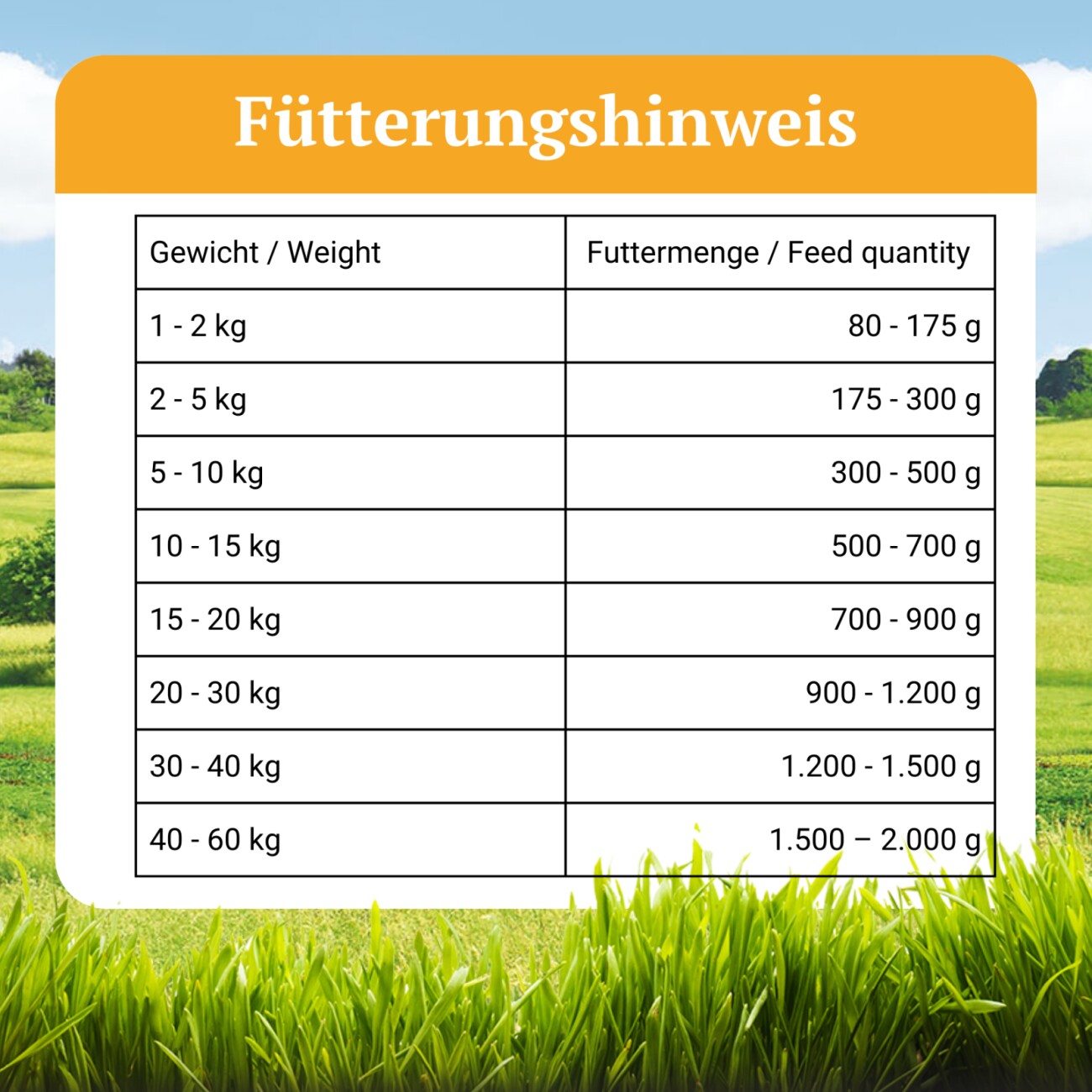 Bellfor Hundefutter Nass mit Huhn - Freiland-Menü - 200g