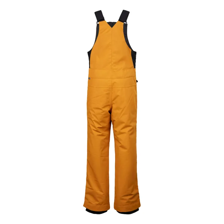 Picture Salopette de Ski Ninge | Jaune