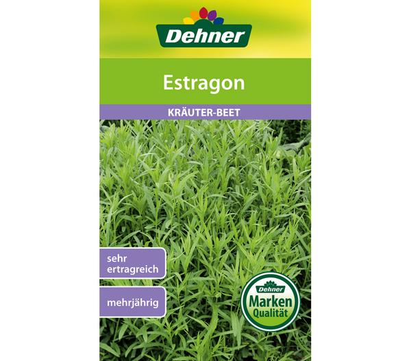 Dehner Samen Estragon