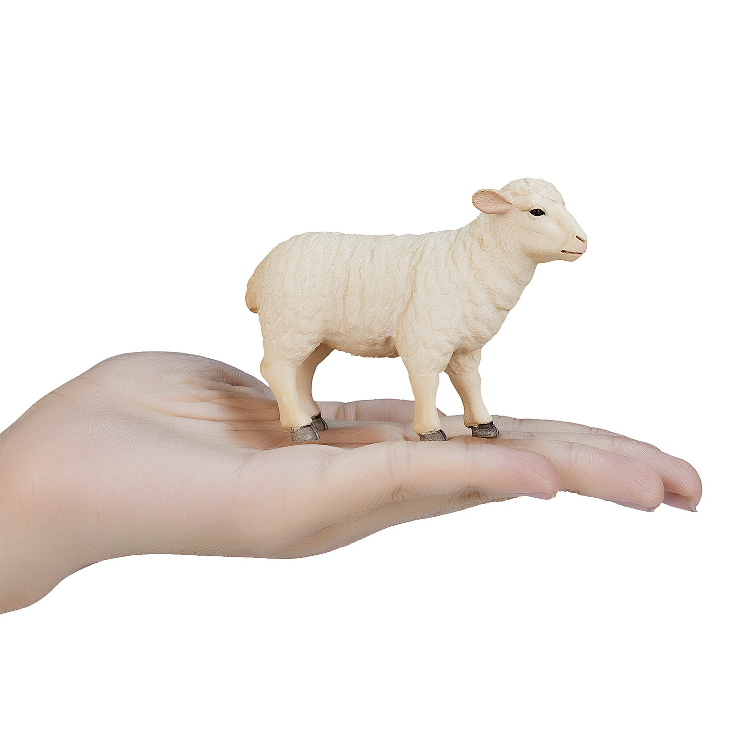 Mojo Farmland Schaap Ooi - 387096