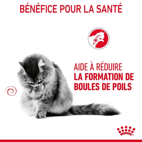 Croquettes chat Adulte réduction boules de poils Hairball 2kg