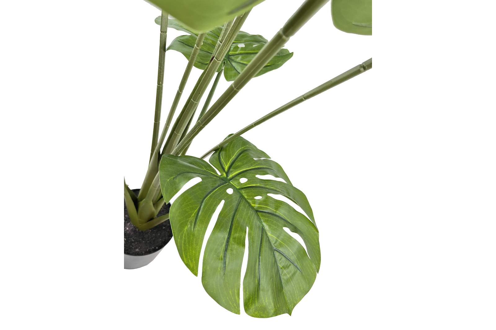 Monstera potteplante Grønn H90 cm