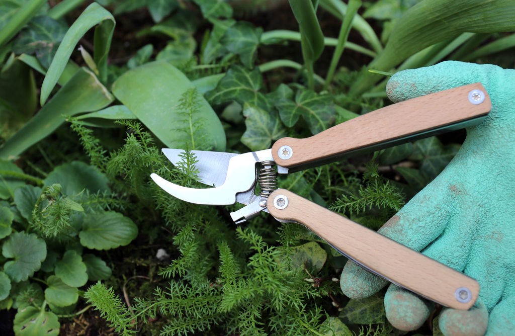 Pocket Pruner Multi Tool (CD516)
