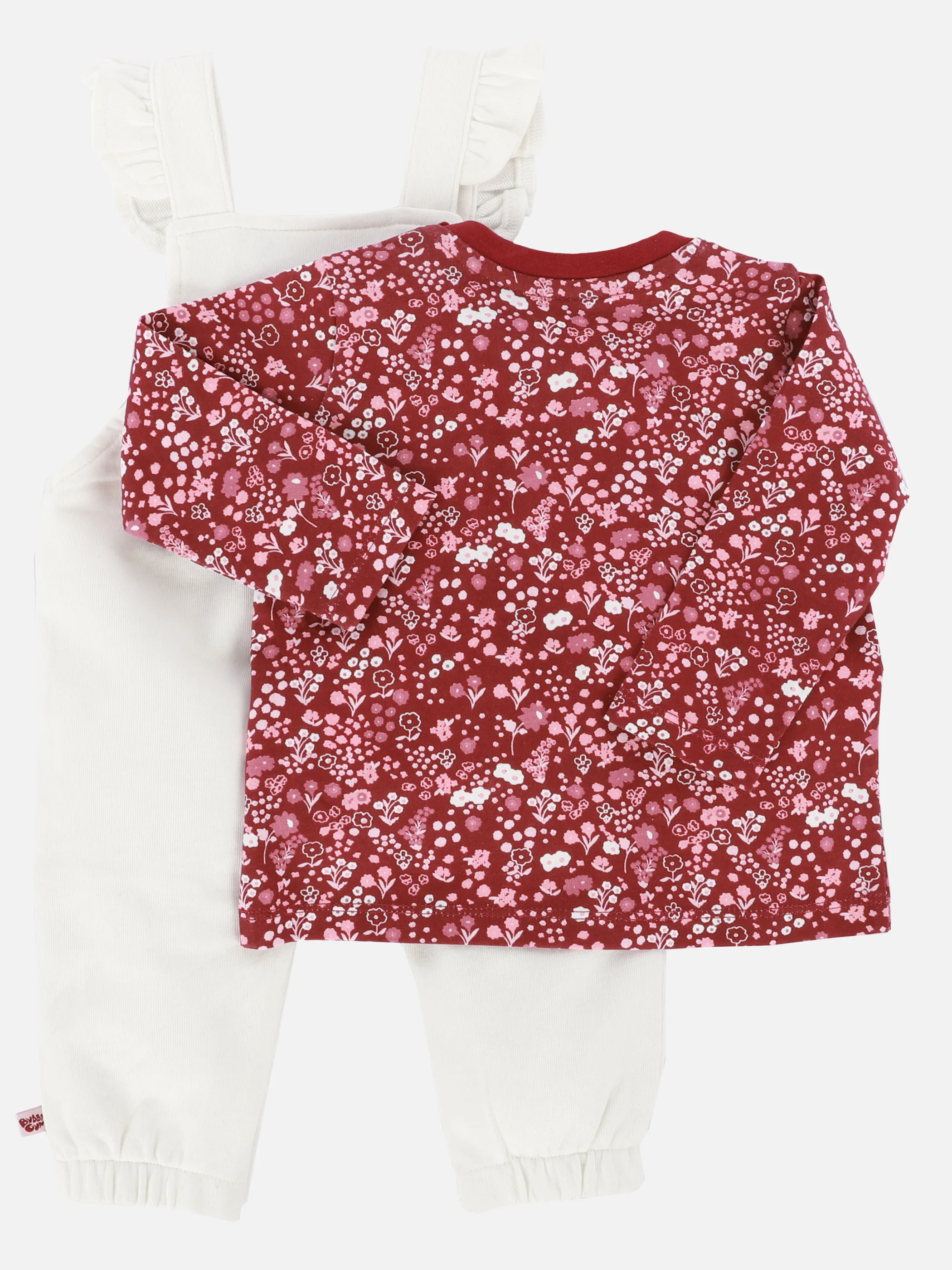 Baby Mädchen Set bestehend aus Strampler und Longsleeve