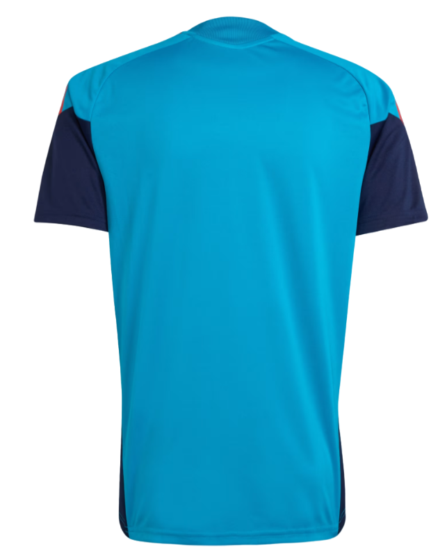 Spanje Trainingsshirt 2026 Senior