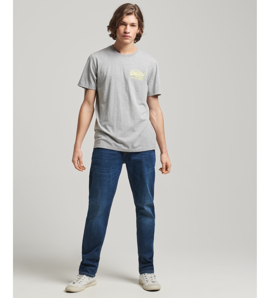 Camiseta Superdry Vintage Logo Floral Cinza
