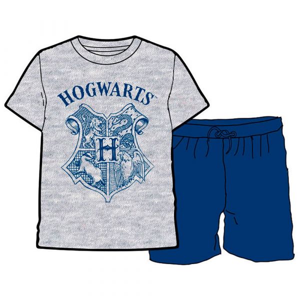 Warner Bros Harry Potter Hogwarts Pyjama Cinzento 4 Anos