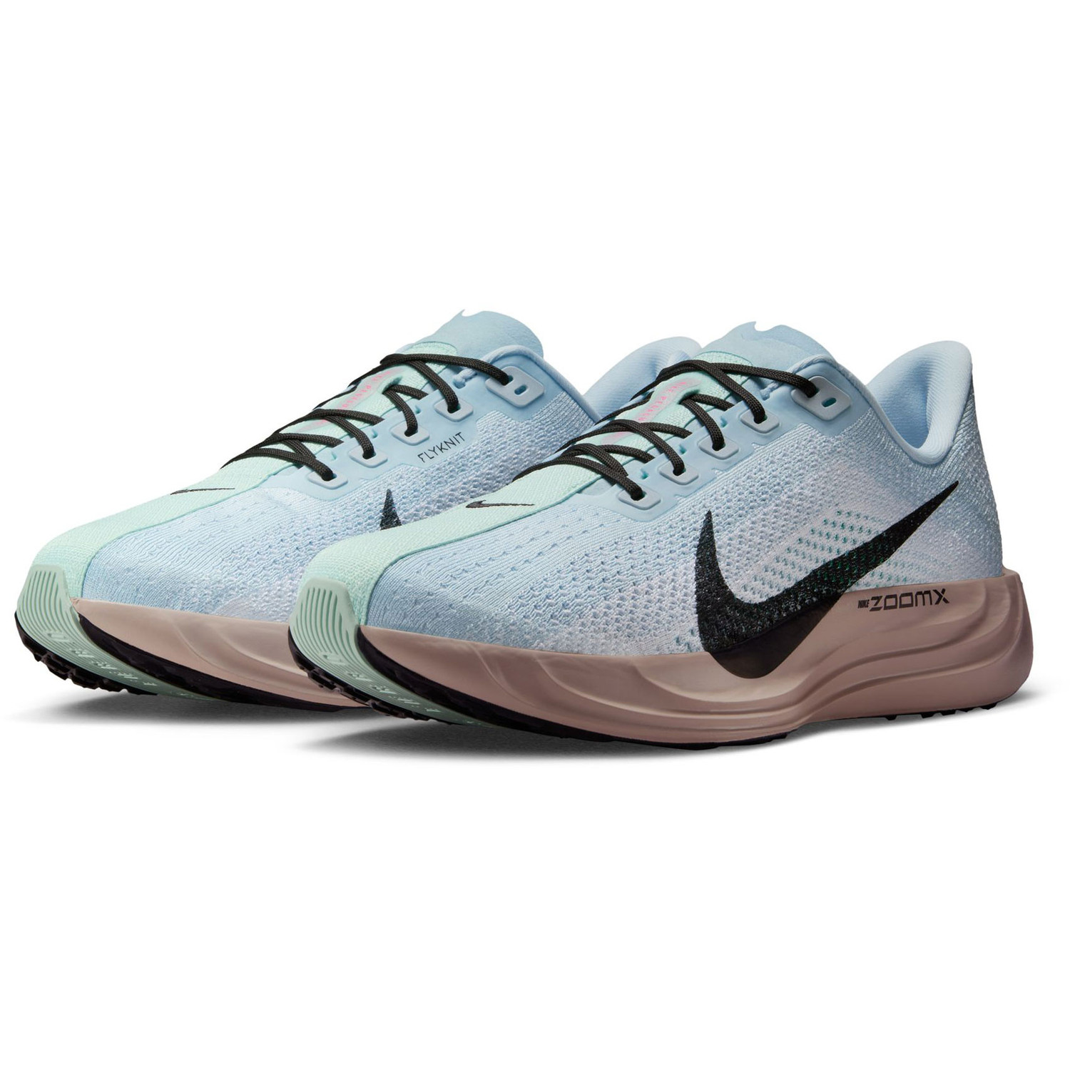 Nike Pegasus Plus Heren