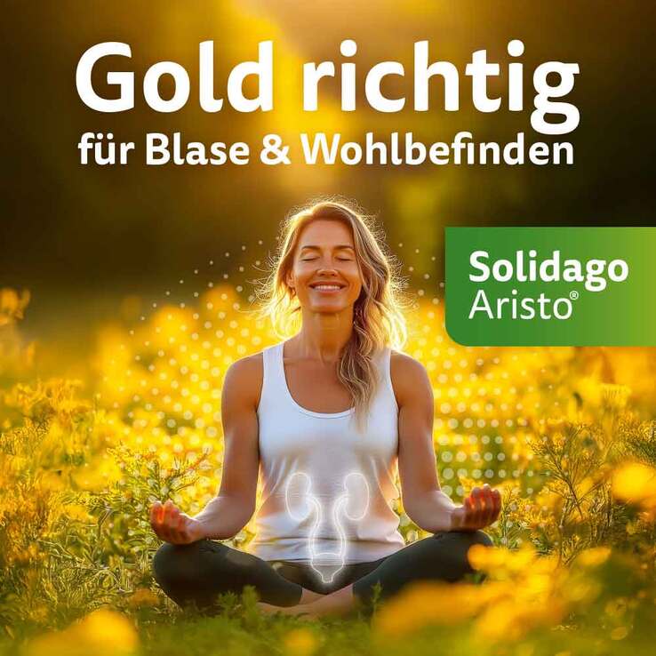 Solidago Aristo 300 mg Tabletten, 100 St