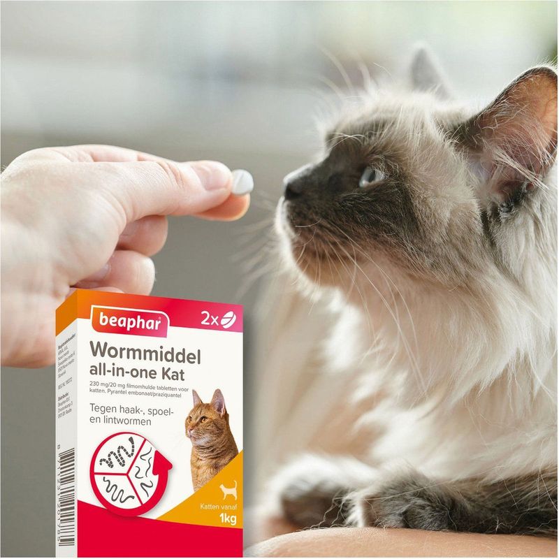 Beaphar All-in-one Ontworming Tabletten Kat Vanaf 1 kg 2 tabletten