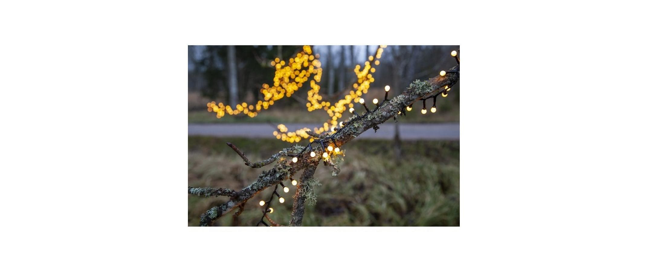 LED-Lichterkette Berry Mini, 700 LED, 14 m, OutdoorWeihnachtslichterkette