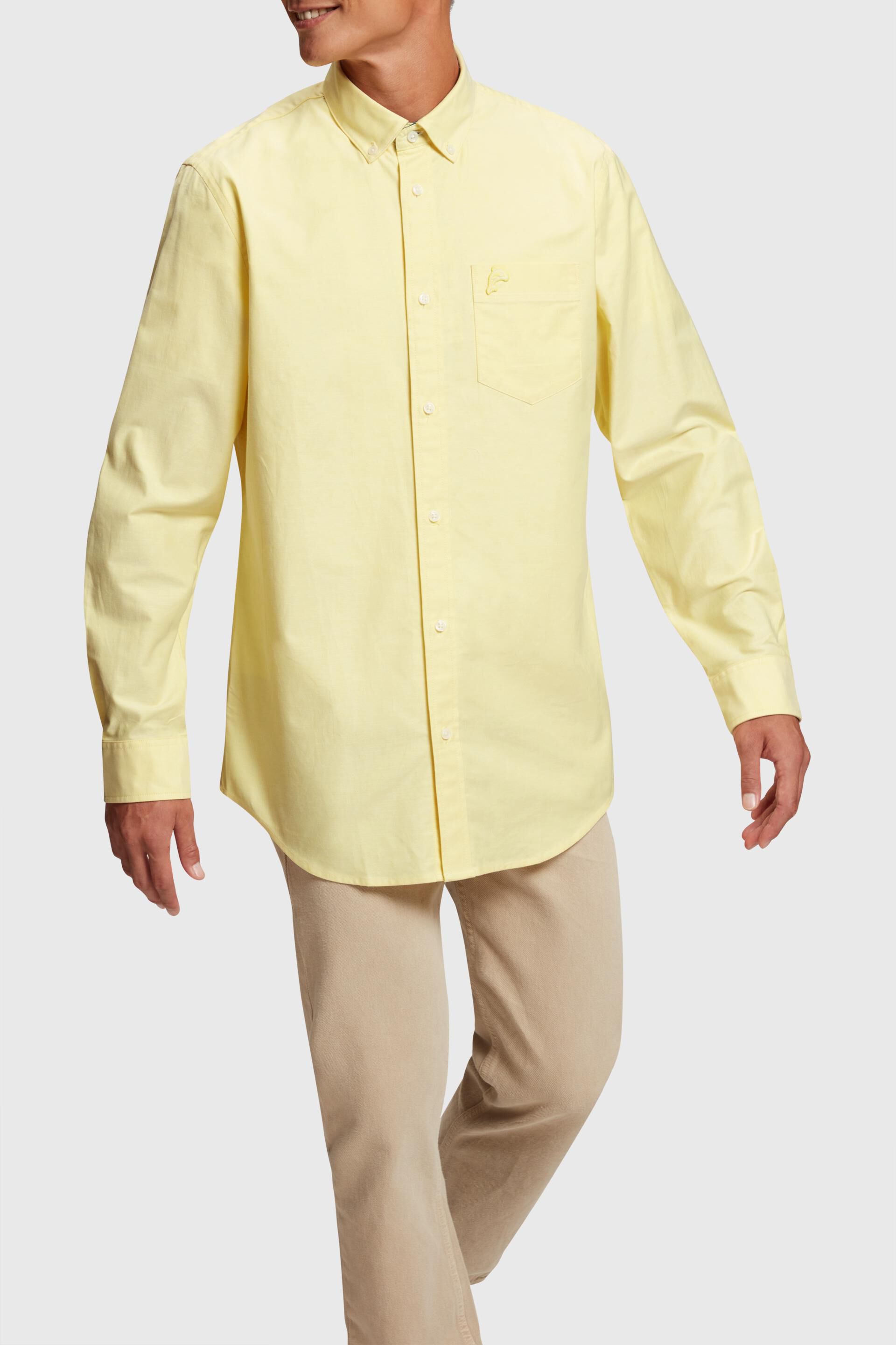 Chemise Oxford Regular Fit