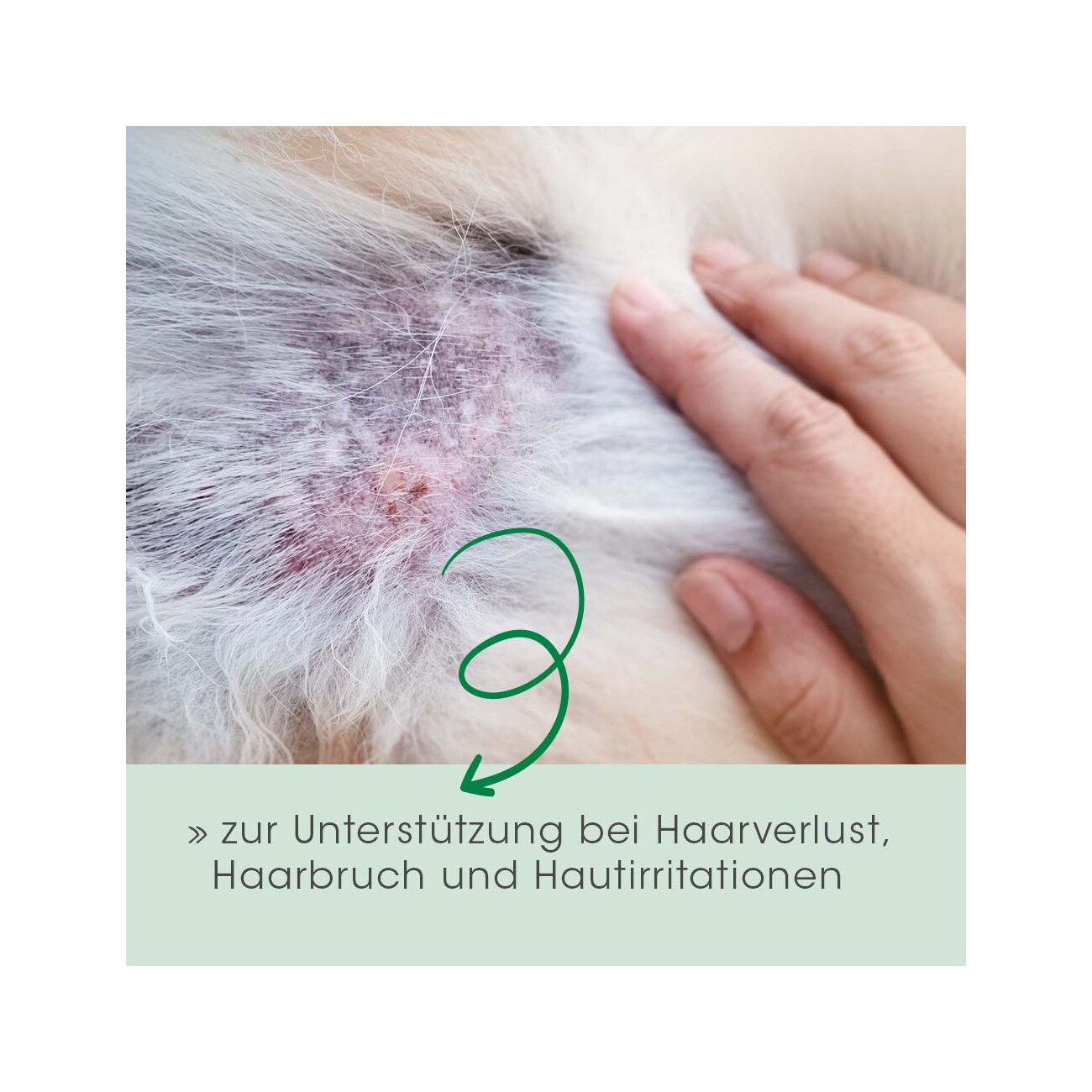 cdVet Fell & Haut Vital 150 g