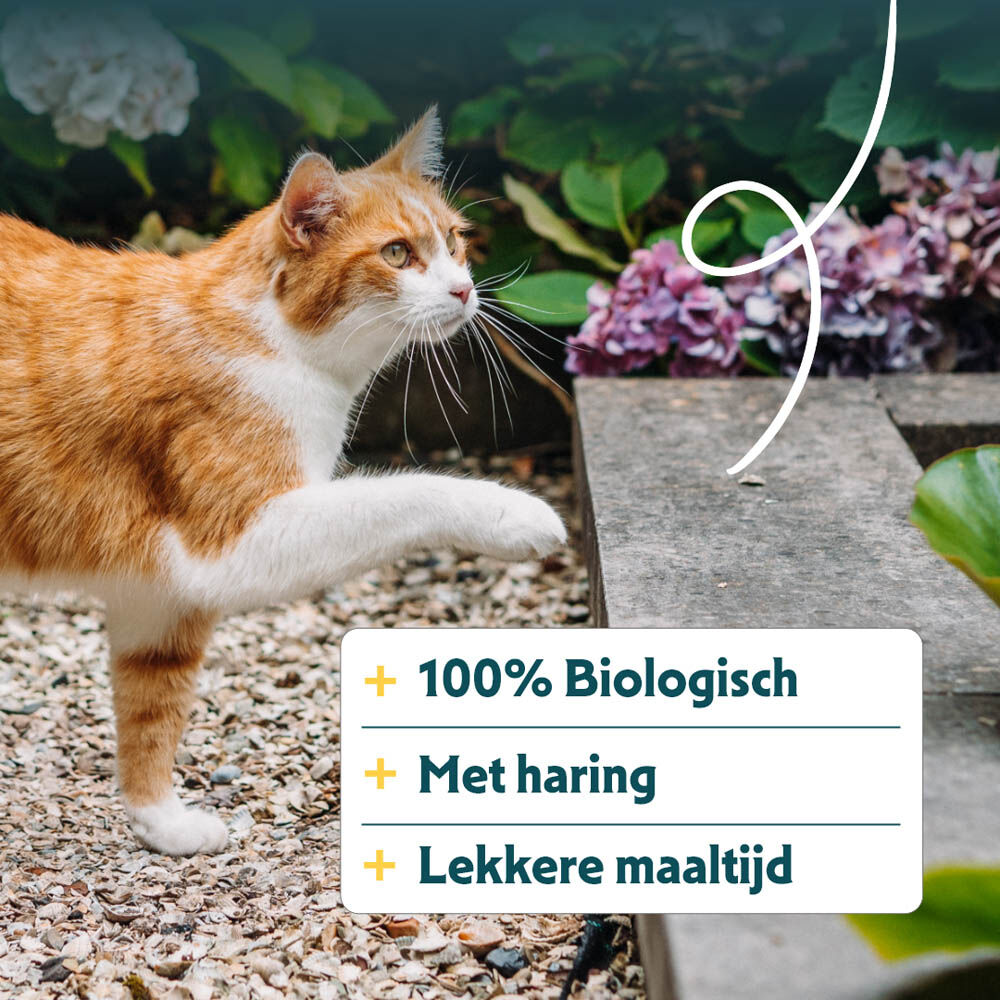 Yarrah Biologisch Adult - Kattenvoer - 10 Kilogram - kip, vis