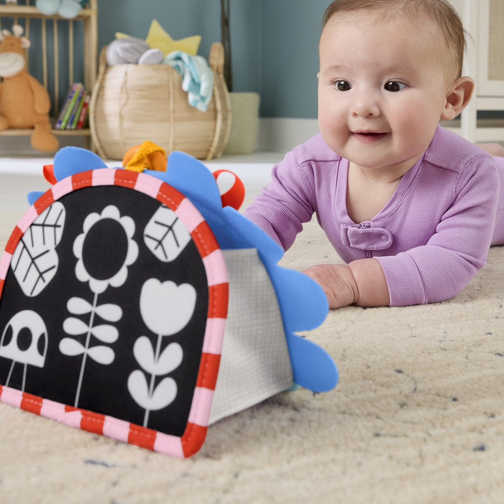 Køb Fisher-Price® Nyfødt 2-i-1 Spejl