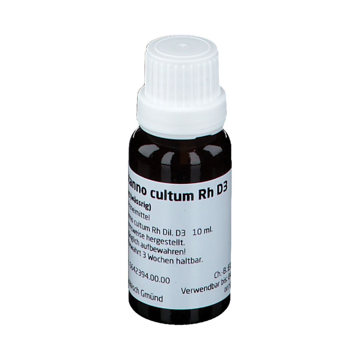 Cichorium Stanno cultum Rh D3