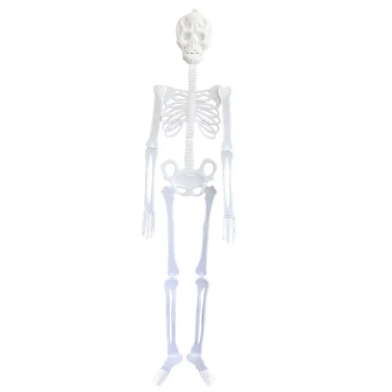 (145cm) Fluoreszierendes Halloween Skelett Grusel Deko Glow in the Dark Party Accessoire - Weiss / Grün