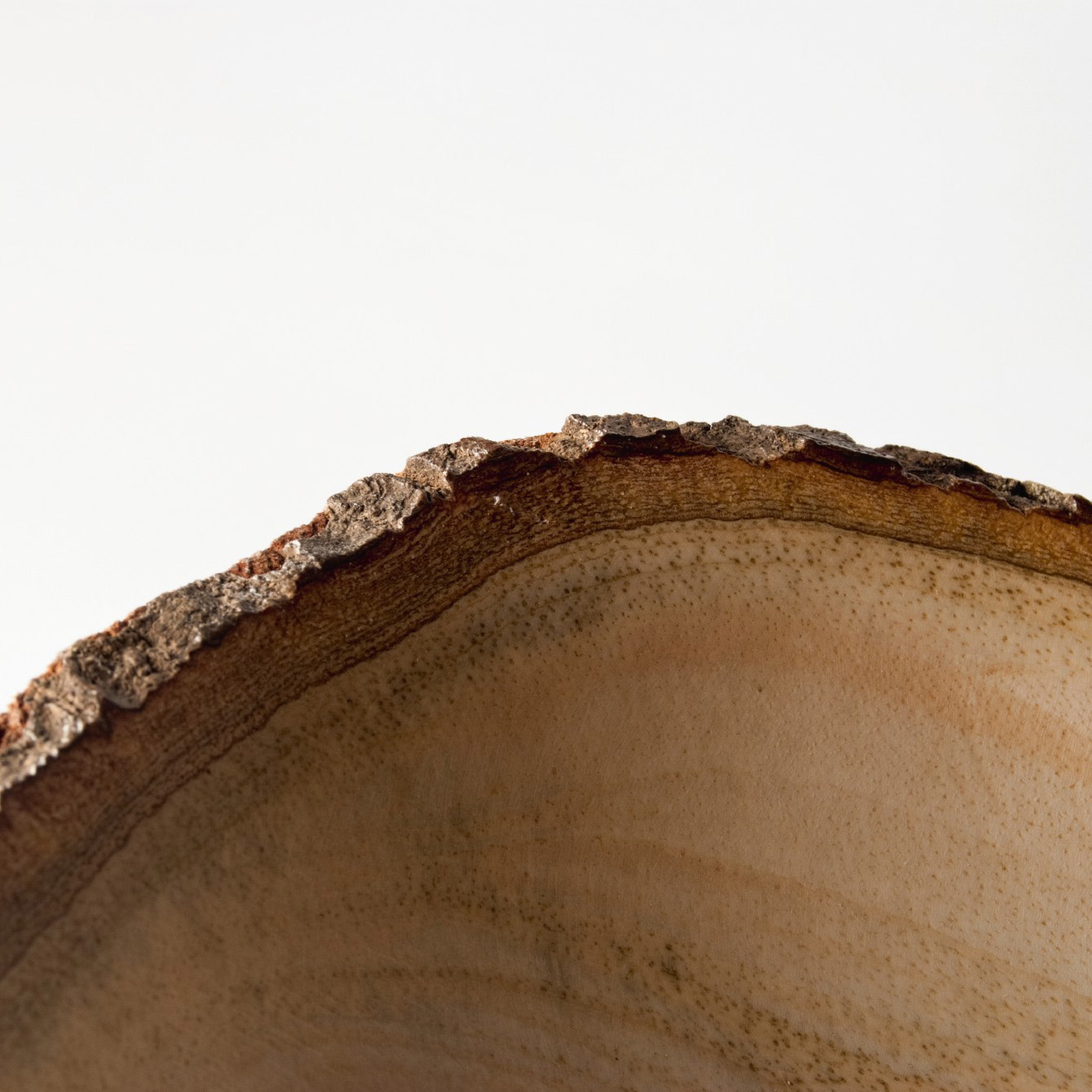 Schale mit Rinde, natur, Ø 23 cm, H 8 cm von fischer's lagerhaus