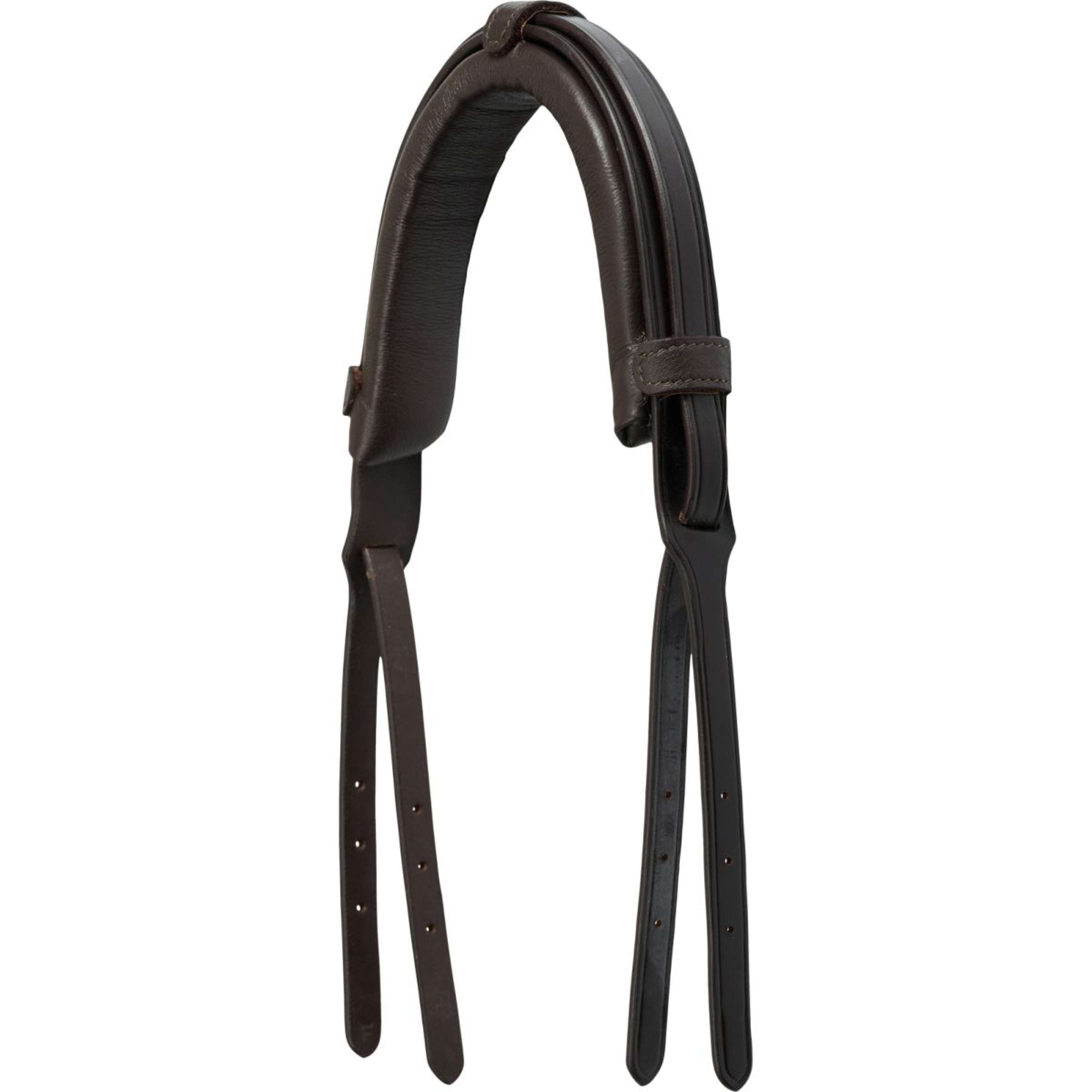 Catago Kopstuk Gentle Bruin
