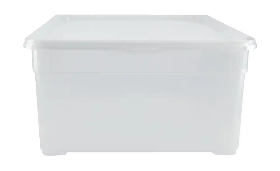 Rotho Aufbewahrungsbox mit Deckel 36,5 cm
