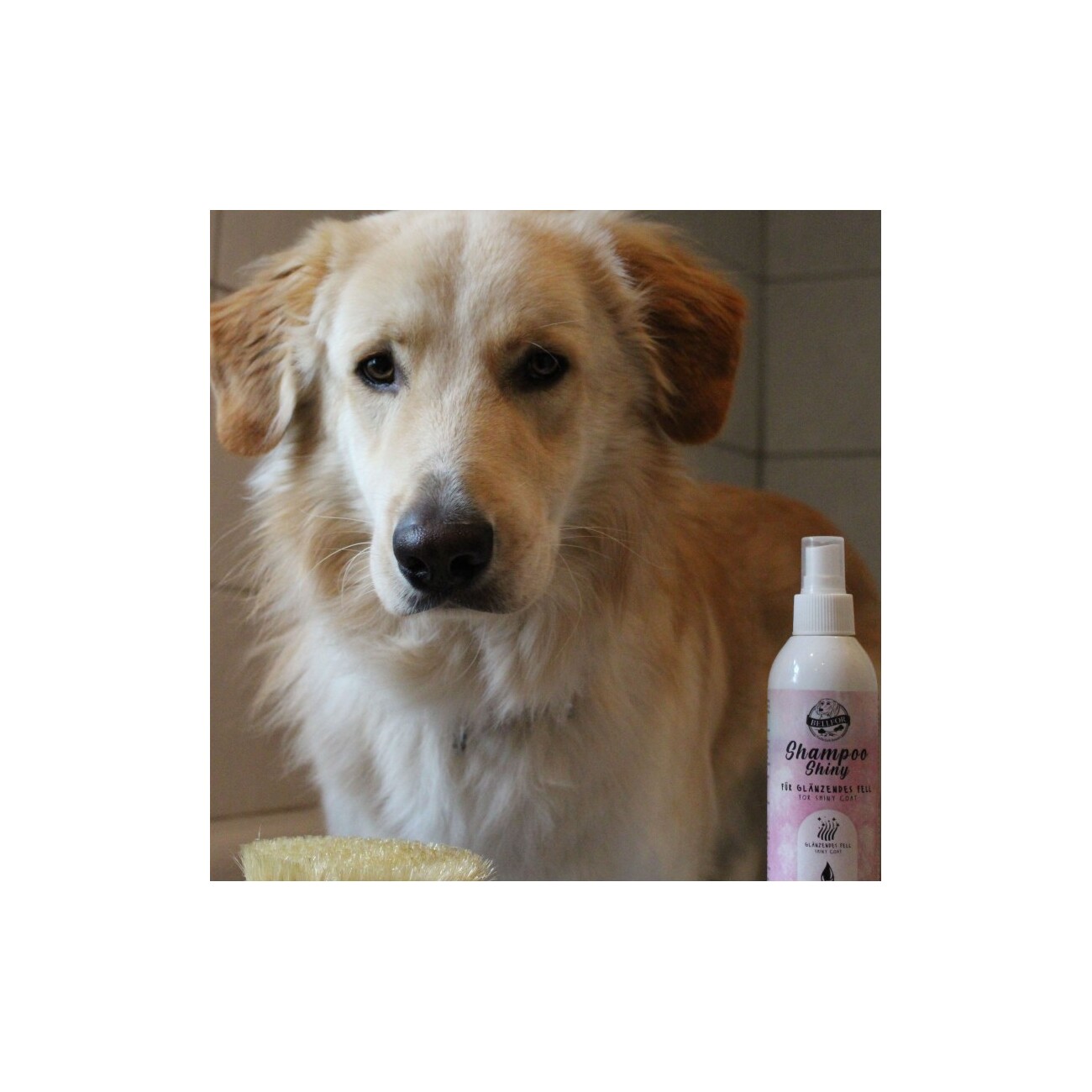 Bellfor Hundeshampoo Shiny für glänzendes Fell - 250ml
