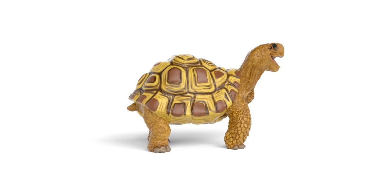 SchleichDe school van de magische dieren - Henrietta de Schildpad speelfiguur