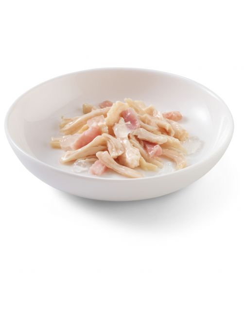 Schesir Kat Blik Gelei 140 g - Kattenvoer