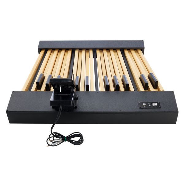 Viscount Legend Pedalboard 25