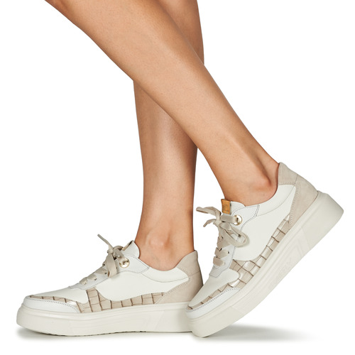 Stonefly - ALLEGRA 3 - Blanc / Gris