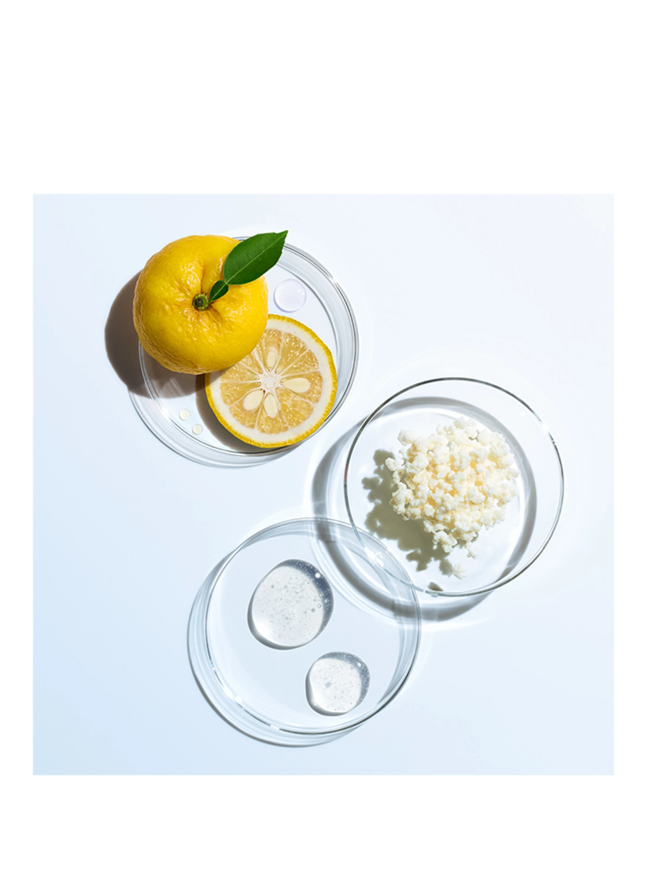 SHISEIDO EUDERMINE REFILL