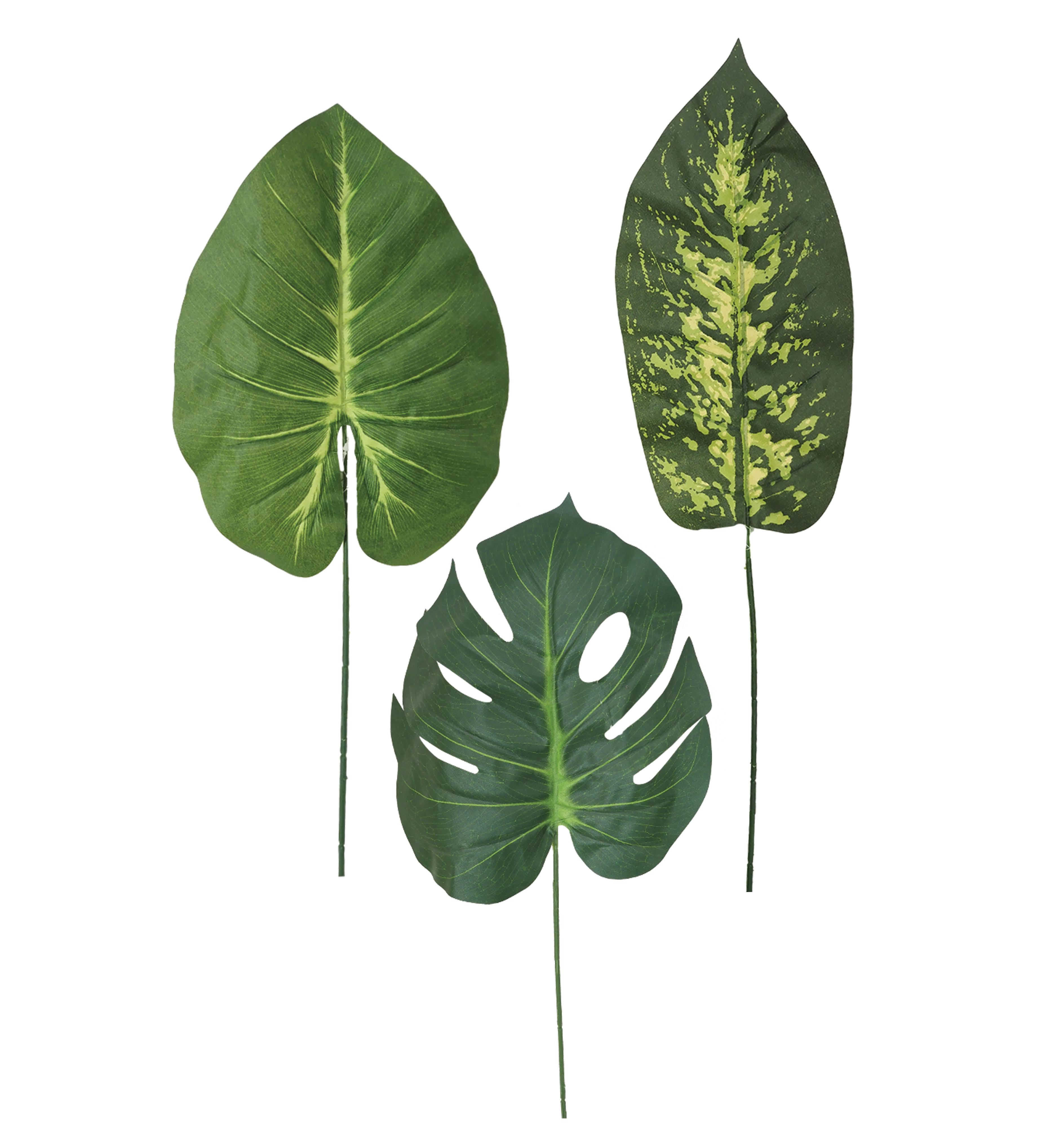 TIGES FEUILLAGES MONSTERA DIFFENBACHIA H.67CM