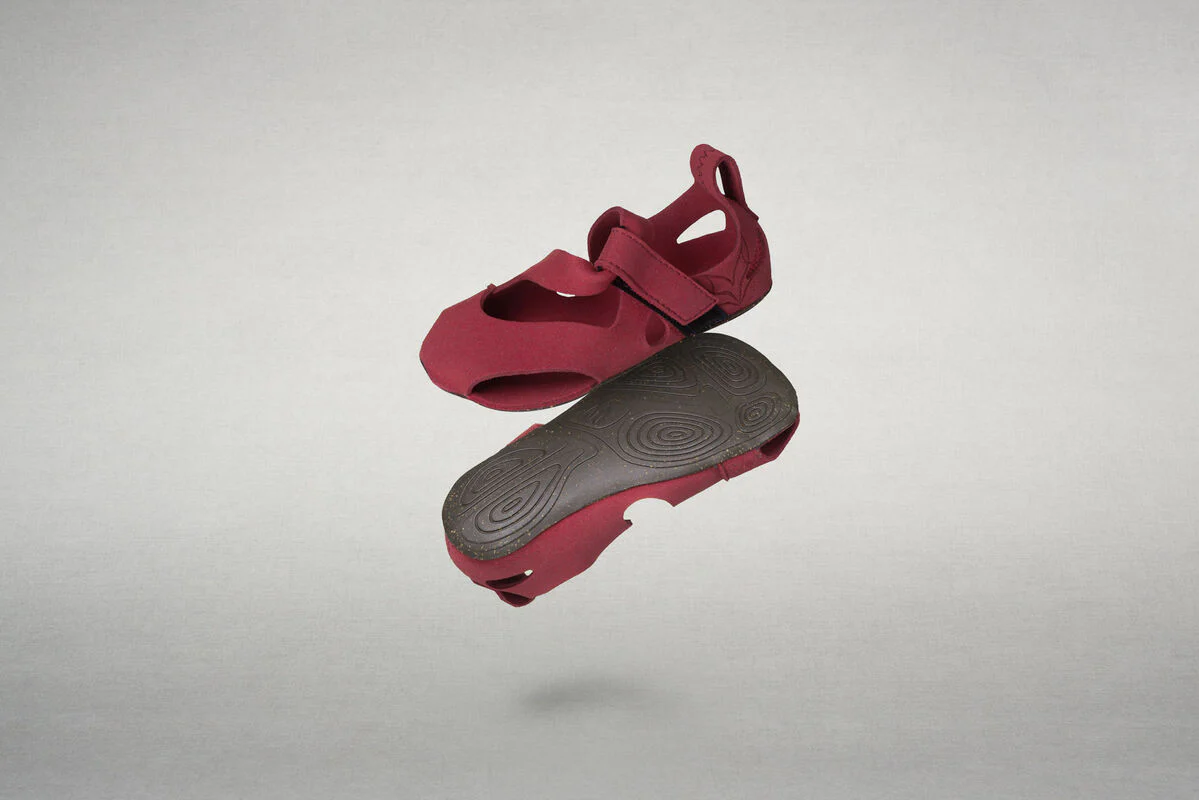 Feder fuchsia