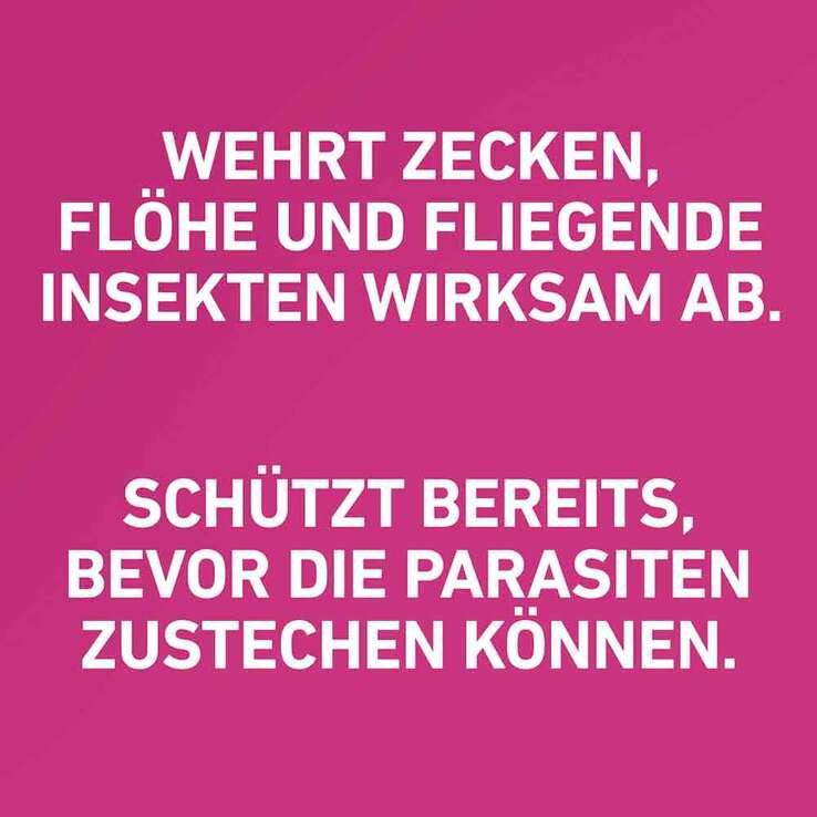 FRONTLINE TRI-ACT gegen Zecke, Floh und fliegende Insekten bei Hunden (2-5kg), 6 St