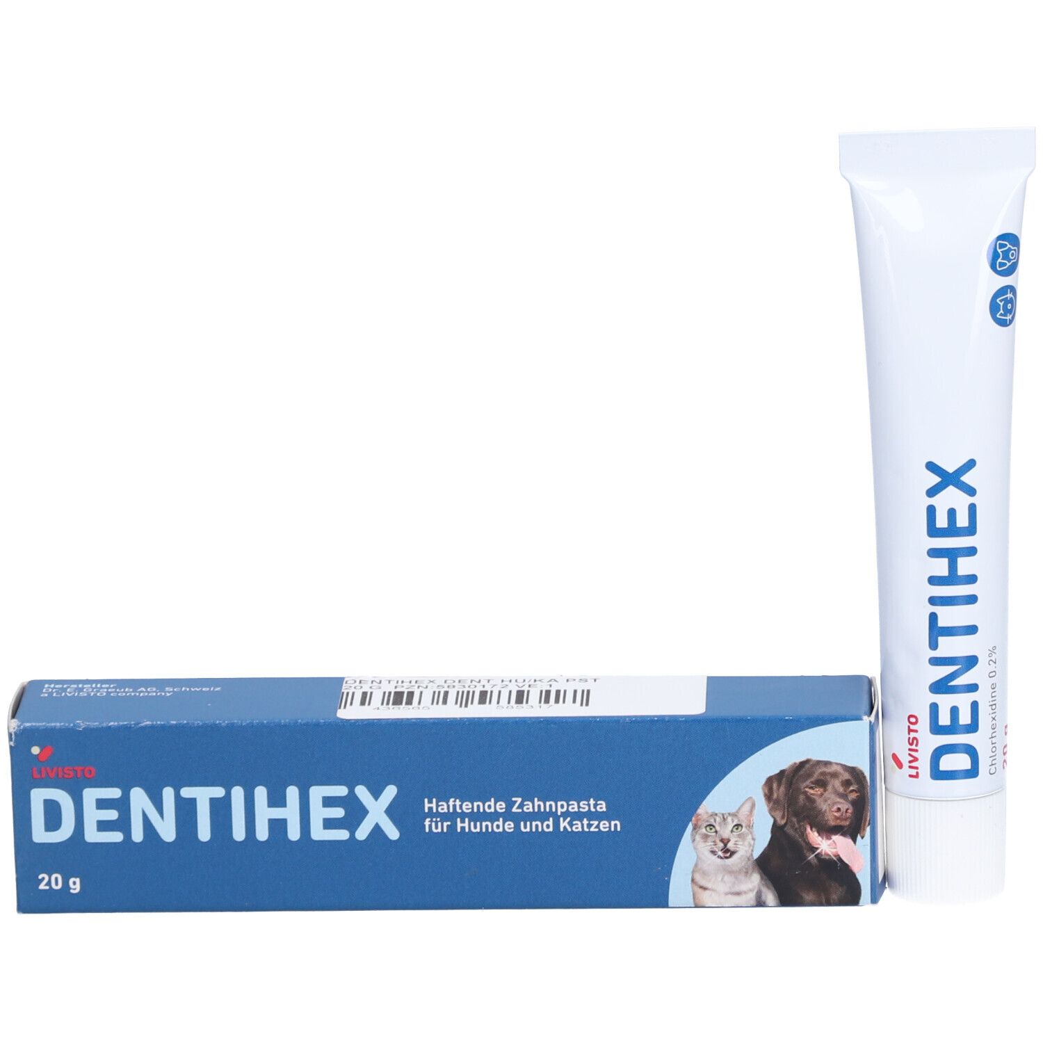 LIVISTO DENTIHEX