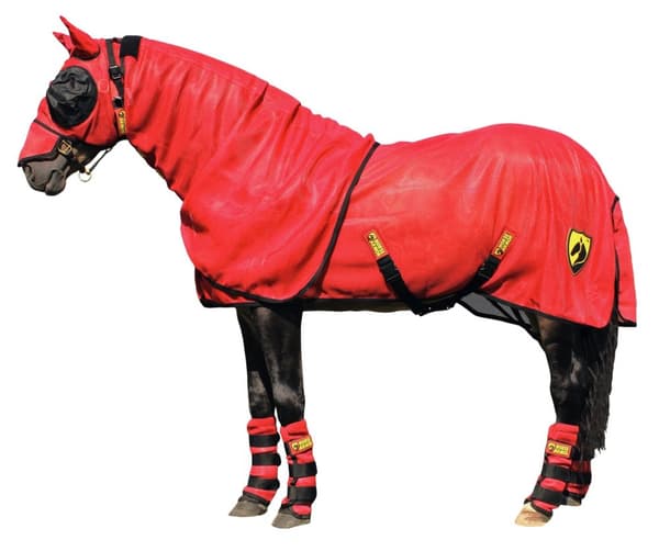 Horse Armor knockdown dekken L 191 cm (Insektskjold)