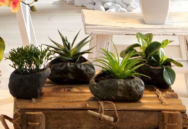Home affaire Kunstpflanze »Sukkulenten« 4er Set