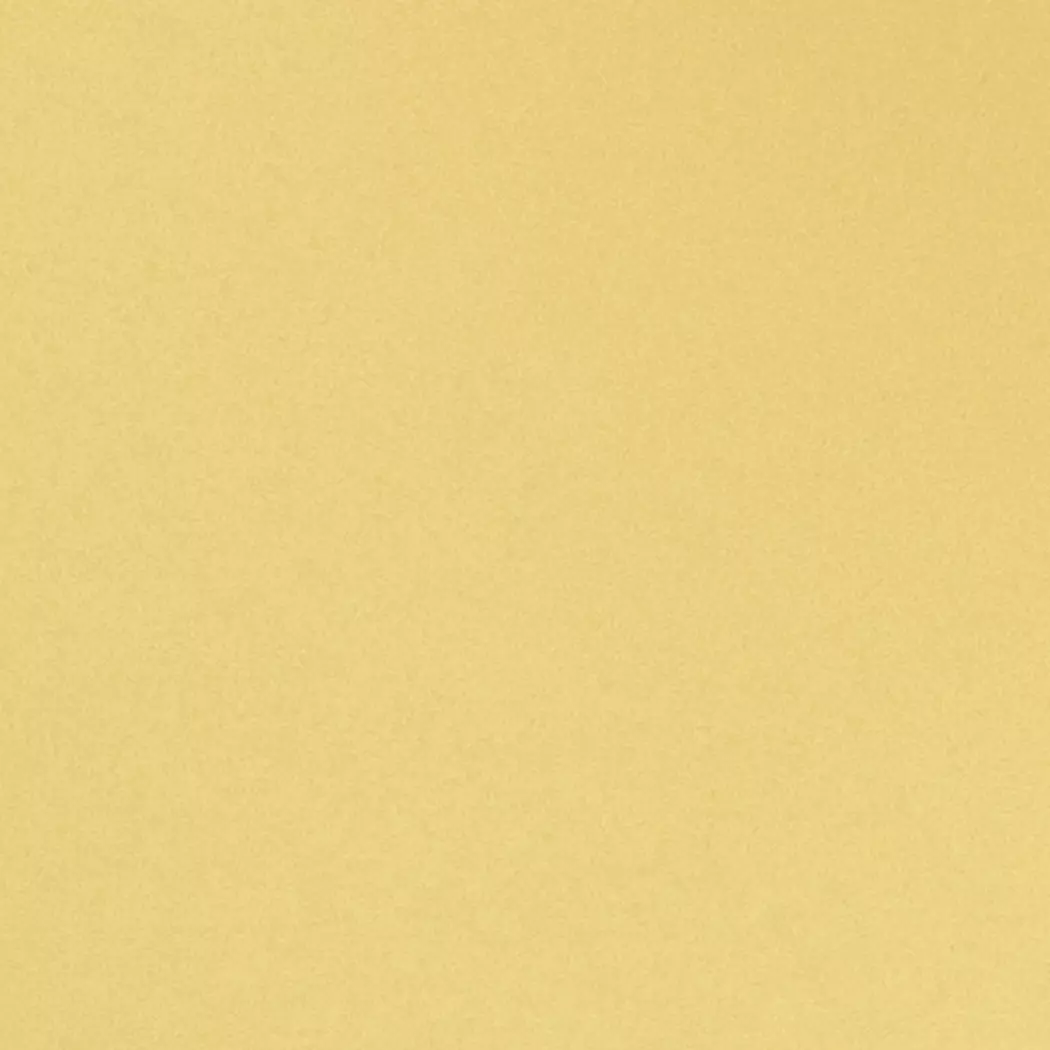 Speiseteller Basic Ø 26,8 cm