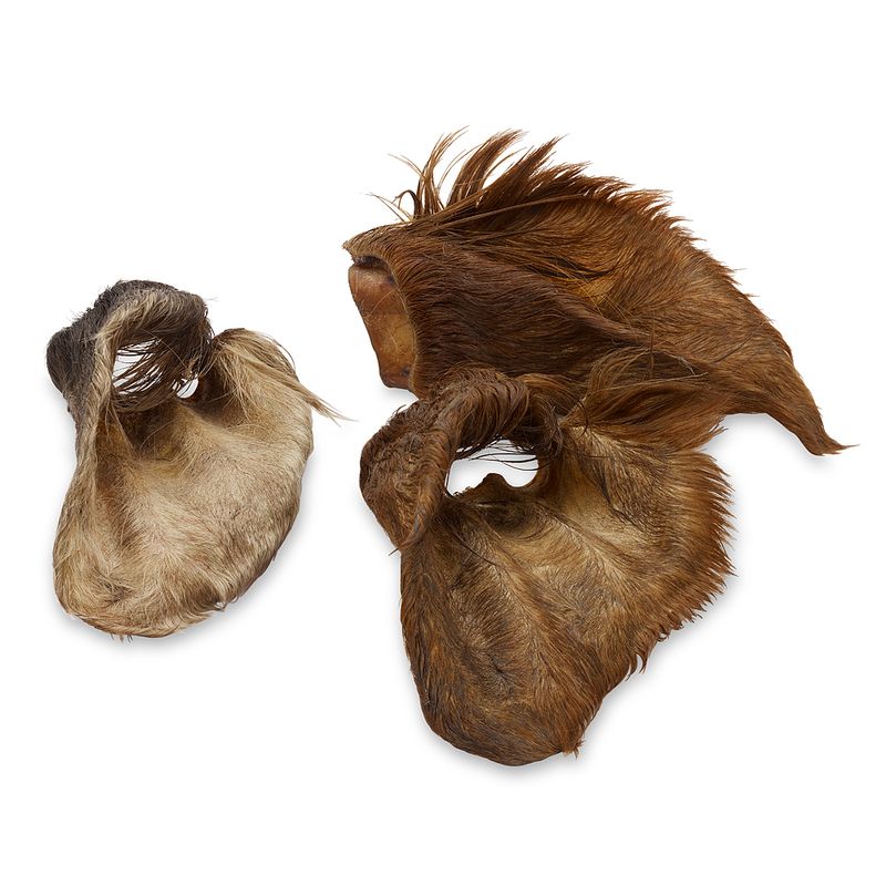 Lot Wolf of Wilderness Oreilles à mâcher avec et sans poils