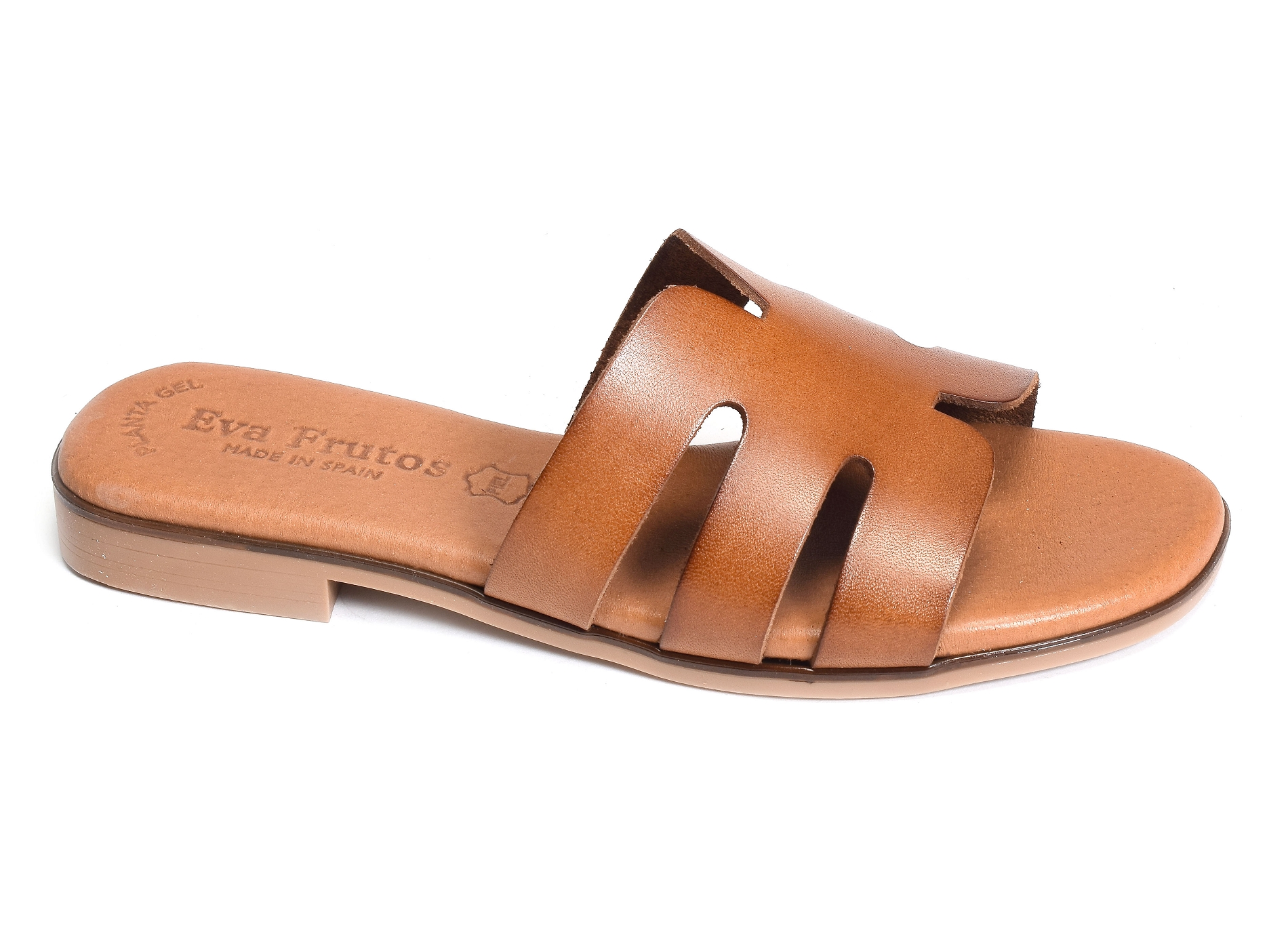 3076 camel