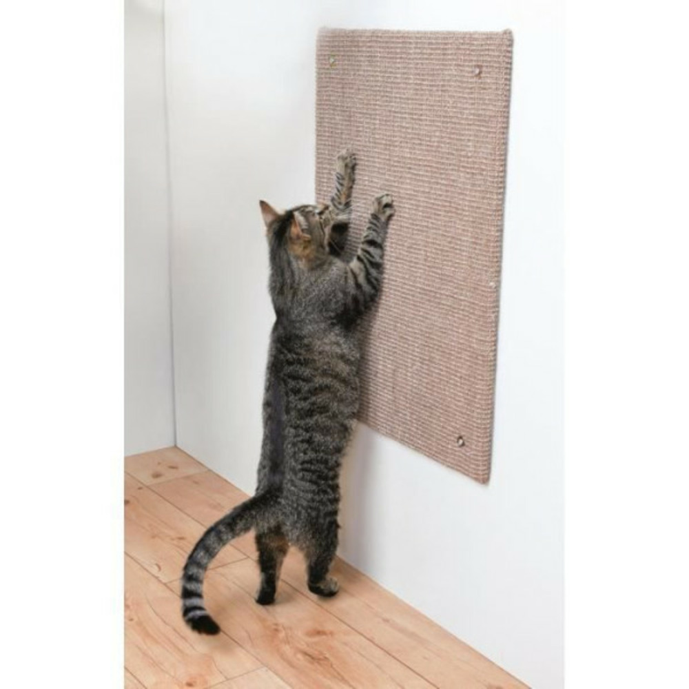 Griffoir xxl - tapis en sisal / catnip - 50 x 70 cm - taupe - pour chat