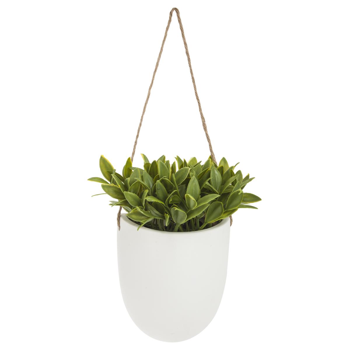 PLANTE MURALE A SUSPENDRE CERAMIQUE H.20CM